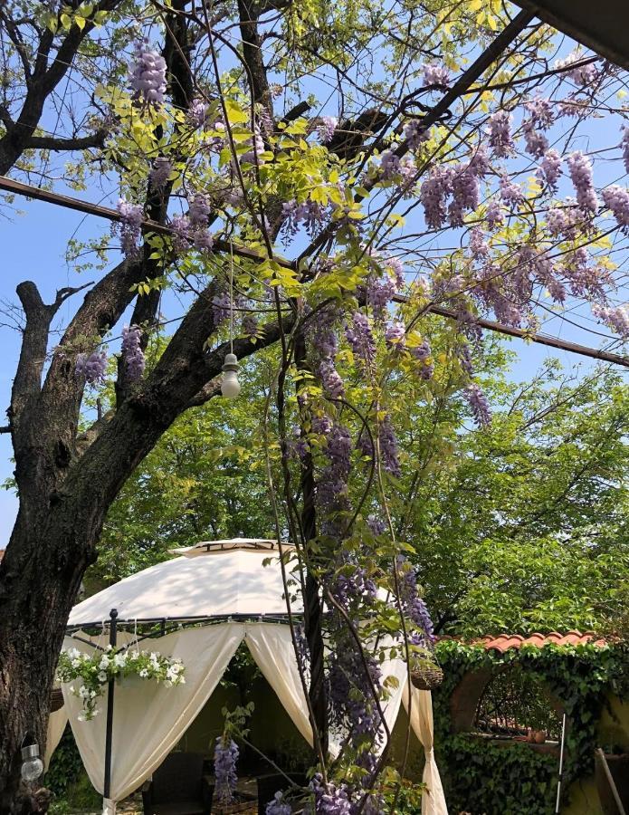 Lux Garden Home D Kumanovo Bagian luar foto
